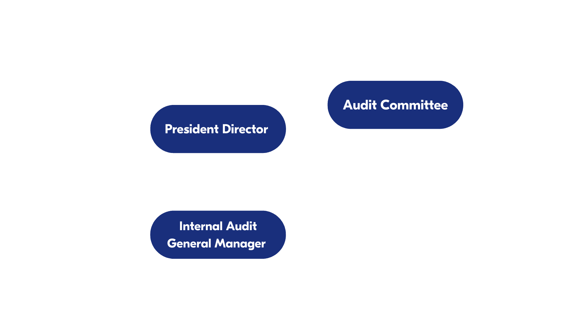 Satuan Audit Internal Satuan Audit Internal